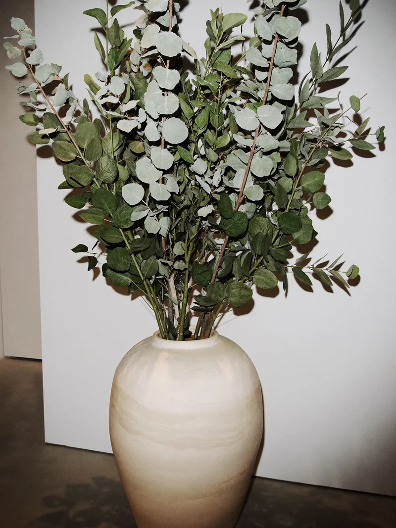 Illustration hoher Eukalyptus- und Olivenzweige in einer matten Keramik-Bodenvase